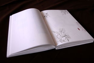 傳統(tǒng)手工紙?jiān)跁b幀中的藝術(shù)魅力