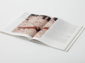 書籍設(shè)計(jì) 從內(nèi)容到視覺的藝術(shù)融合